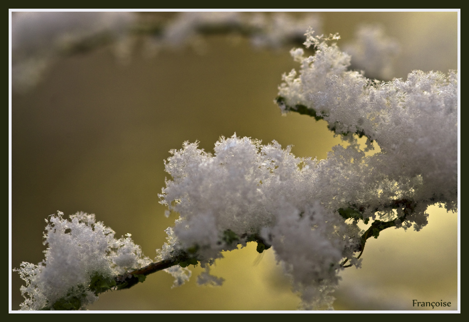 Première Neige