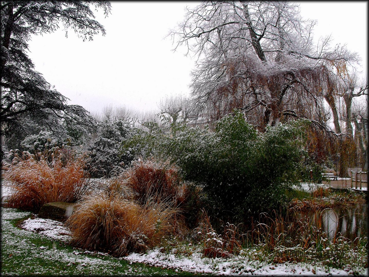 Première Neige bis