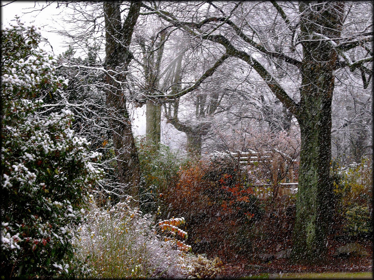 Première Neige