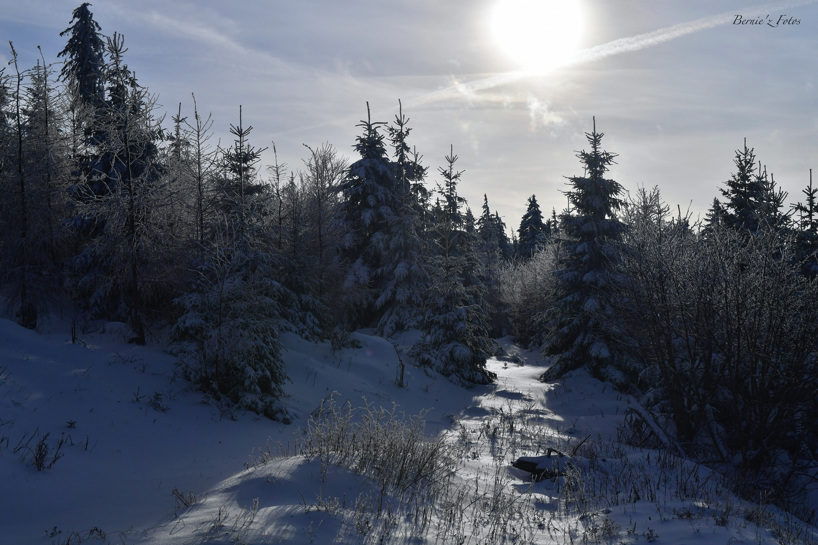 Première neige dans les Vosges