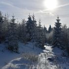 Première neige dans les Vosges