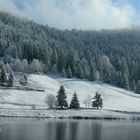 Première neige dans les vosges