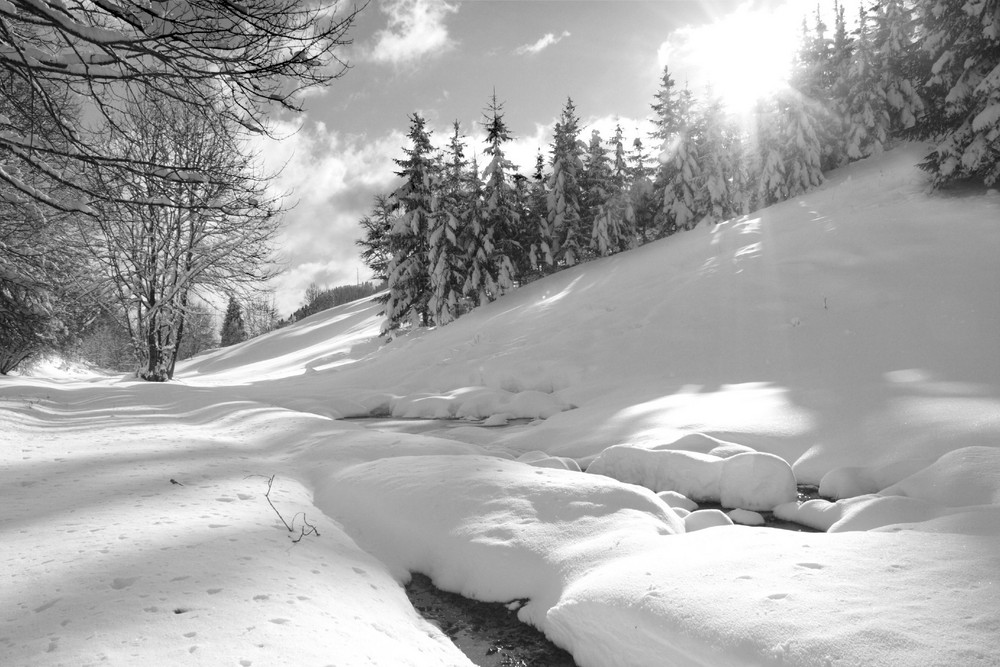 Première neige hiver 2007/2008