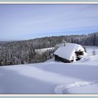 Premiére neige sur la Foret Noire