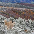 Première neige sur le Mont Lozère / 2