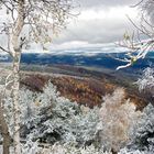 Première neige sur le Mont Lozère / 3