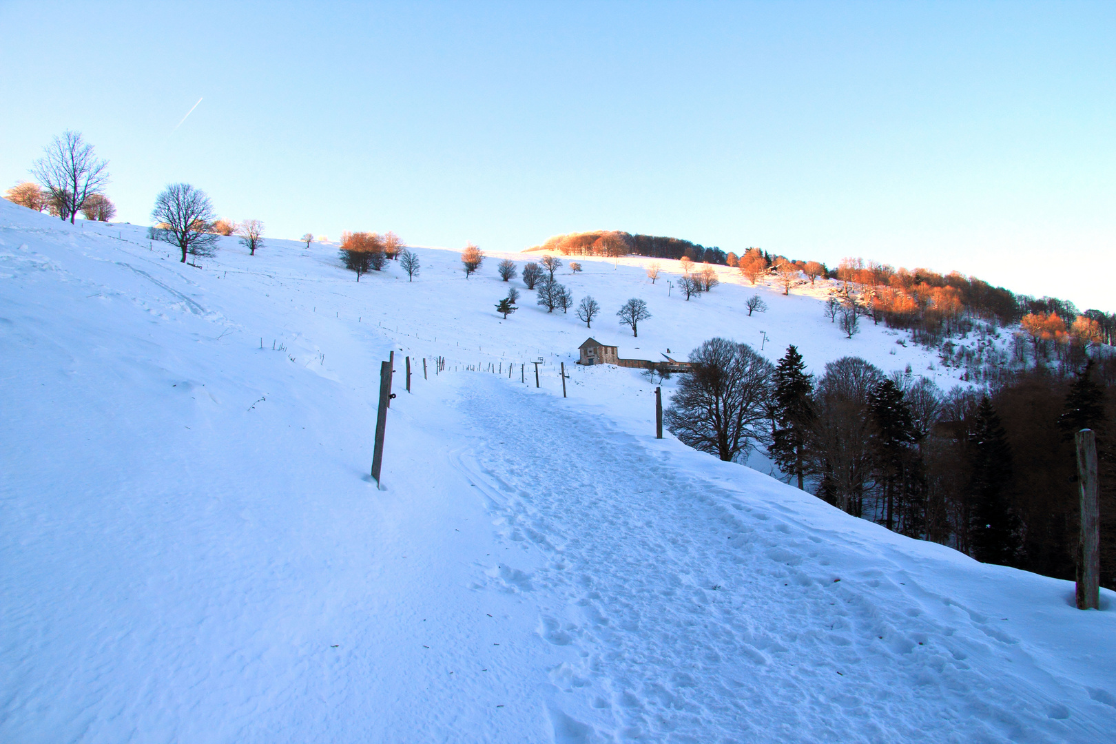 Premiére neige sur les Vosges;