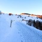 Premiére neige sur les Vosges;