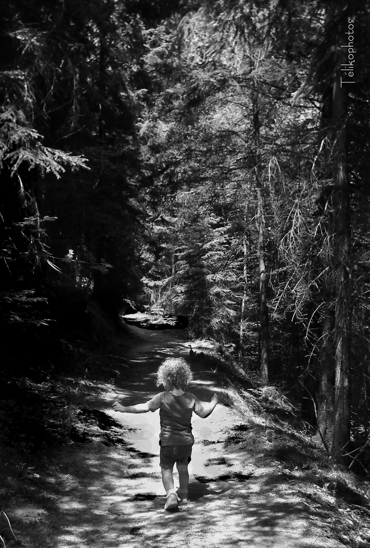 Première promenade...