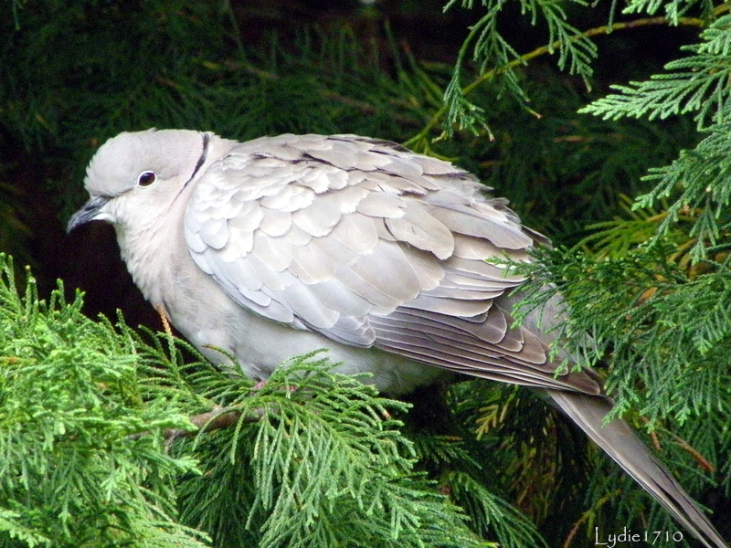 Premiére Sortie.