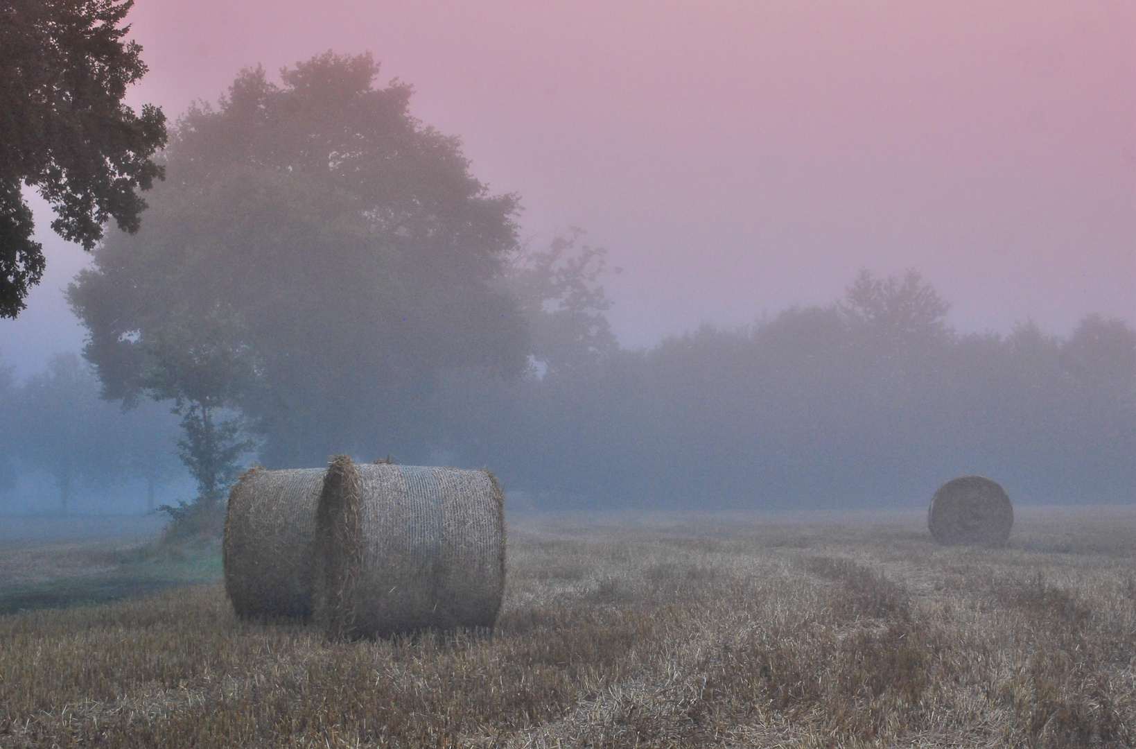 Premières brumes matinales