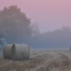 Premières brumes matinales