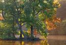 premieres couleurs d'automne aux étangs de comelle de mchretn 