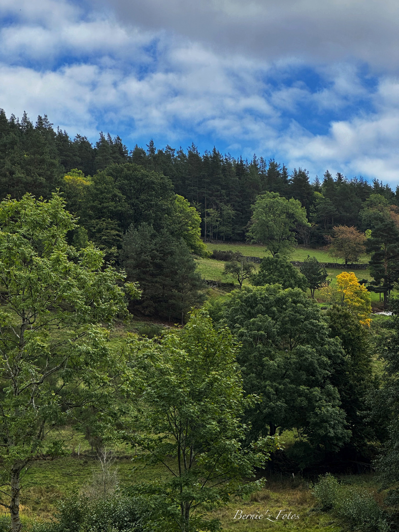 Premières couleurs d'automne