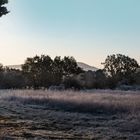 Premières gelées blanches dans le Haut -Var 