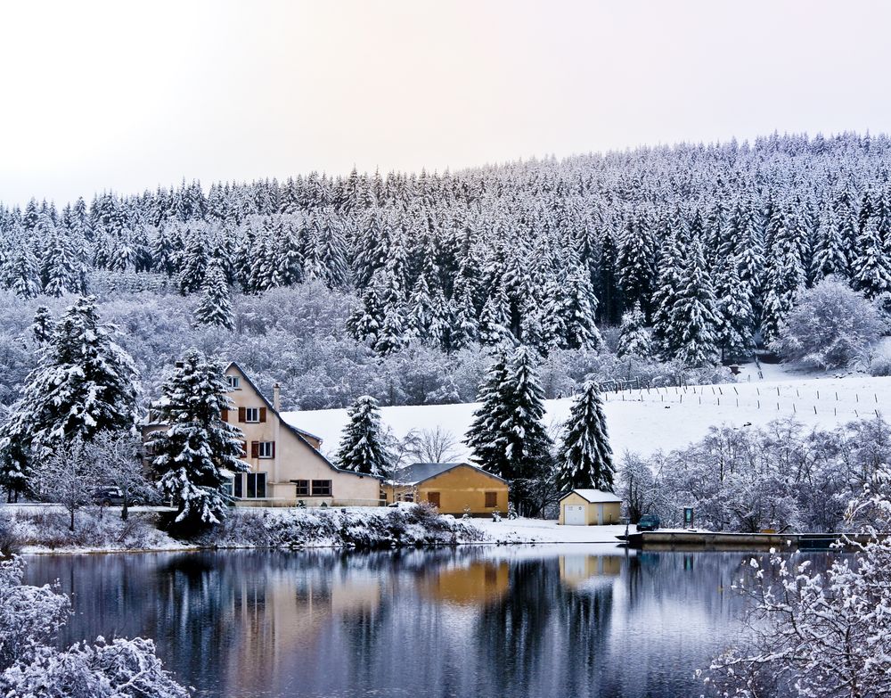 Premières neiges au Guéry (63)