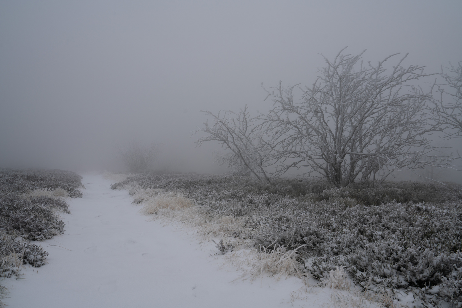 Premières neiges, Monts du Pilat