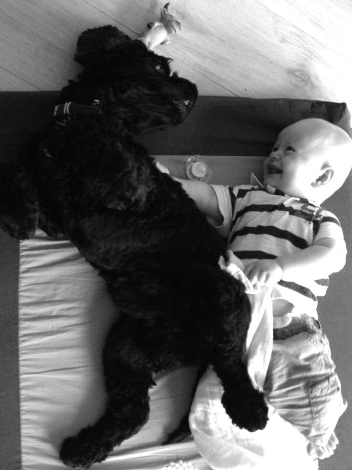 Premières photos de mon fils Hugo et son chien Mambo