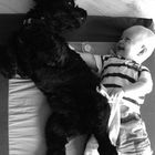 Premières photos de mon fils Hugo et son chien Mambo