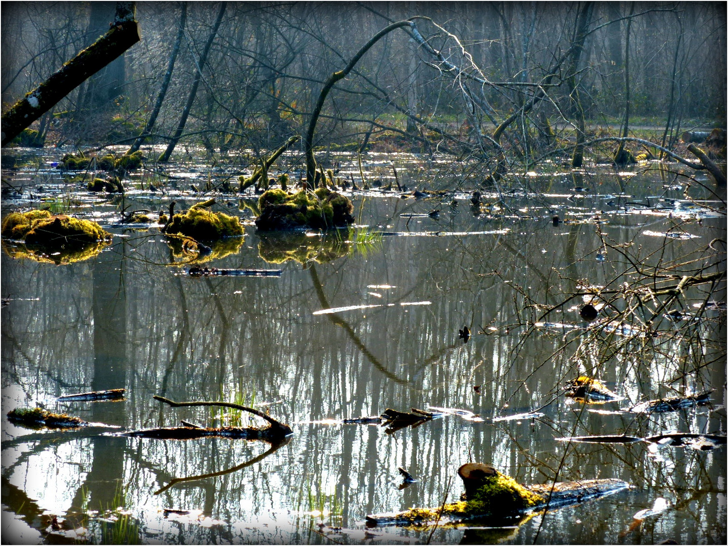 PREMIERS - JOURS - D'AUTOMNE - 3 -