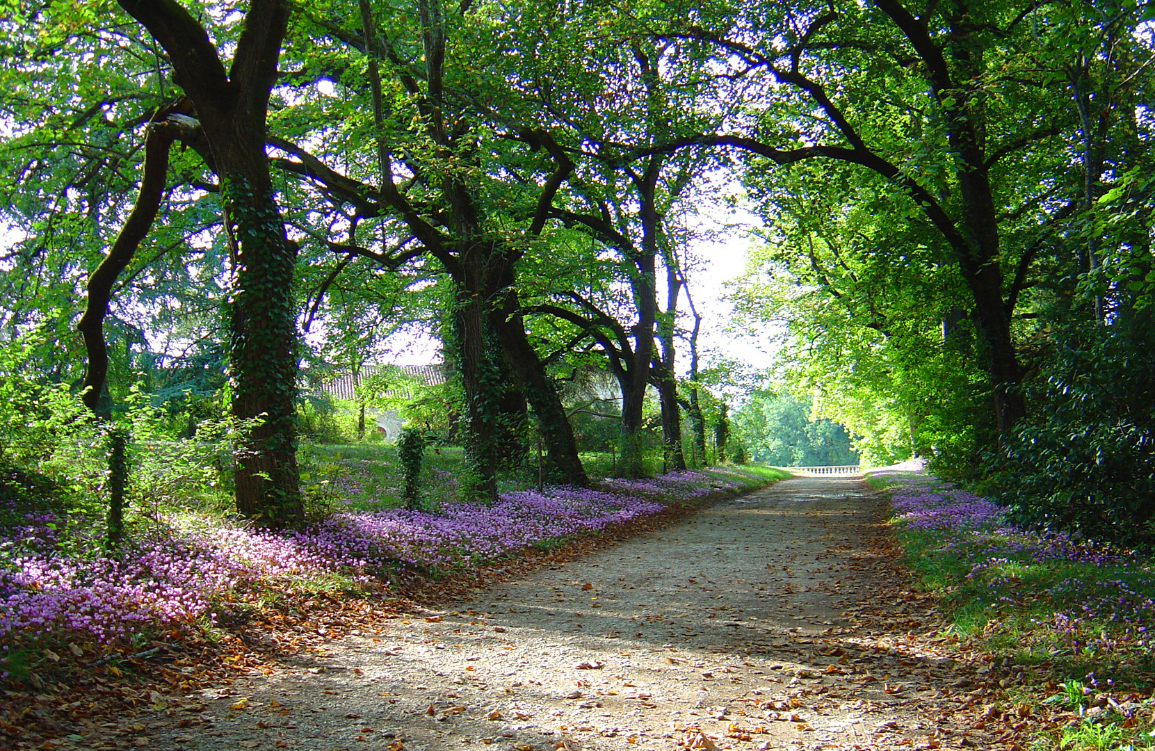 Premiers jours d'automne