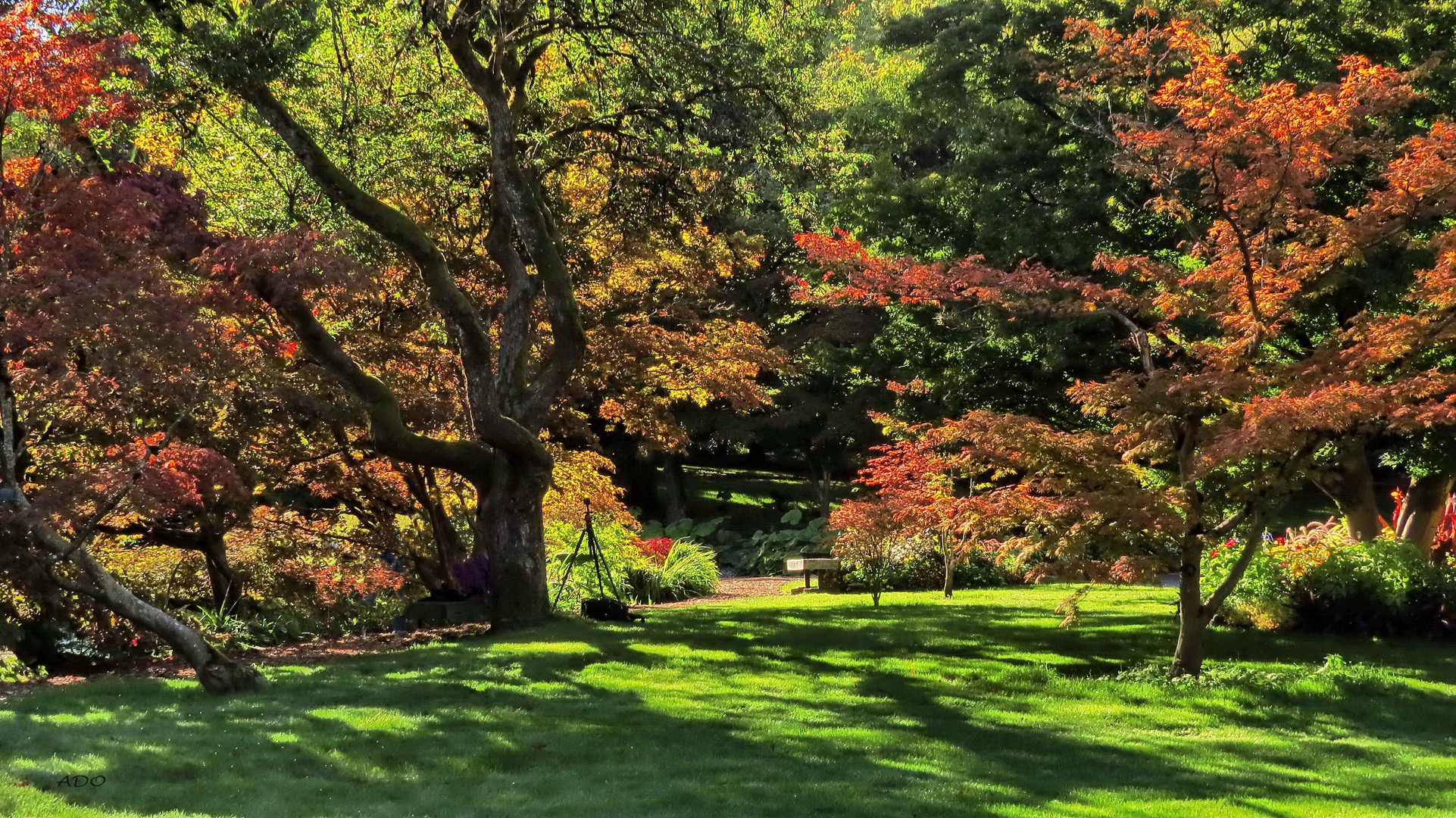 premiers signes de l’automne