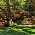 premiers signes de l’automne