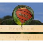 Premium Basketballs