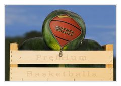 Premium Basketballs