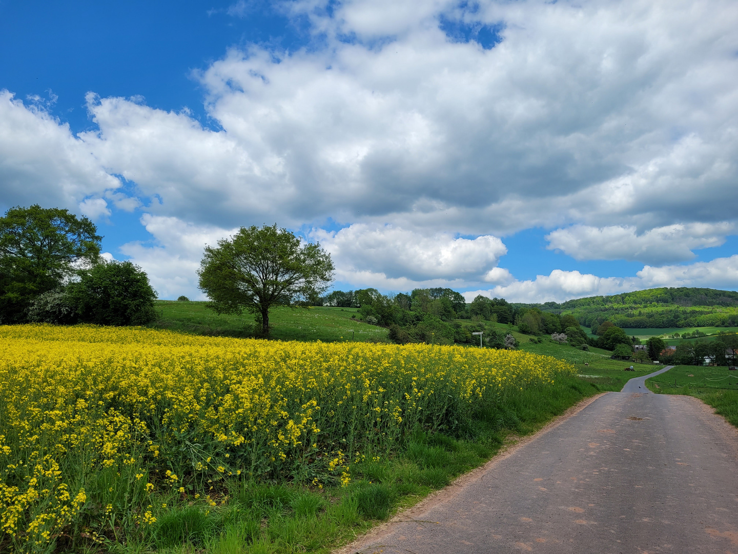 Premium-Wanderweg 