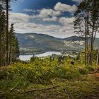 Premiumwanderweg Jägersteig Schluchsee