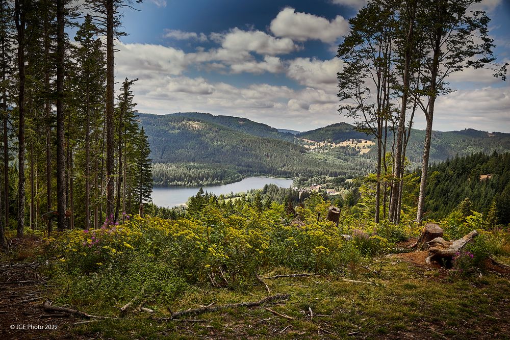 Premiumwanderweg Jägersteig Schluchsee