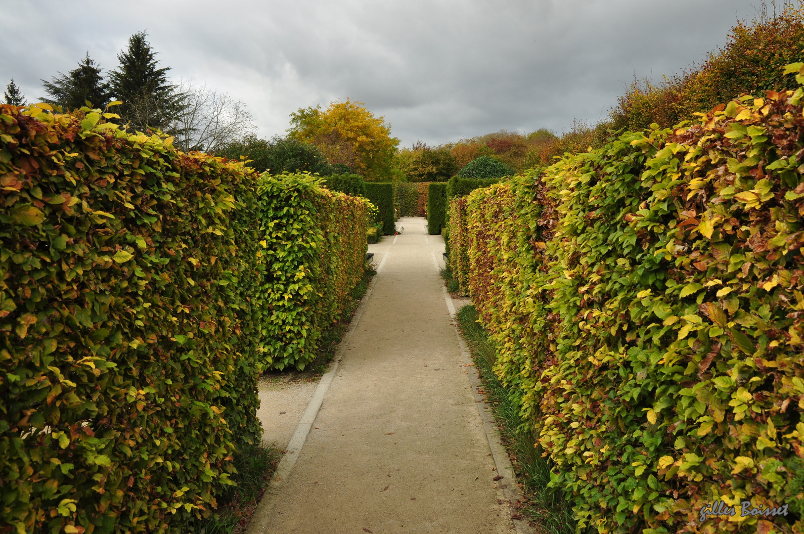 prendre le dernier vert au jardin des impressionnismes