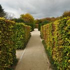 prendre le dernier vert au jardin des impressionnismes