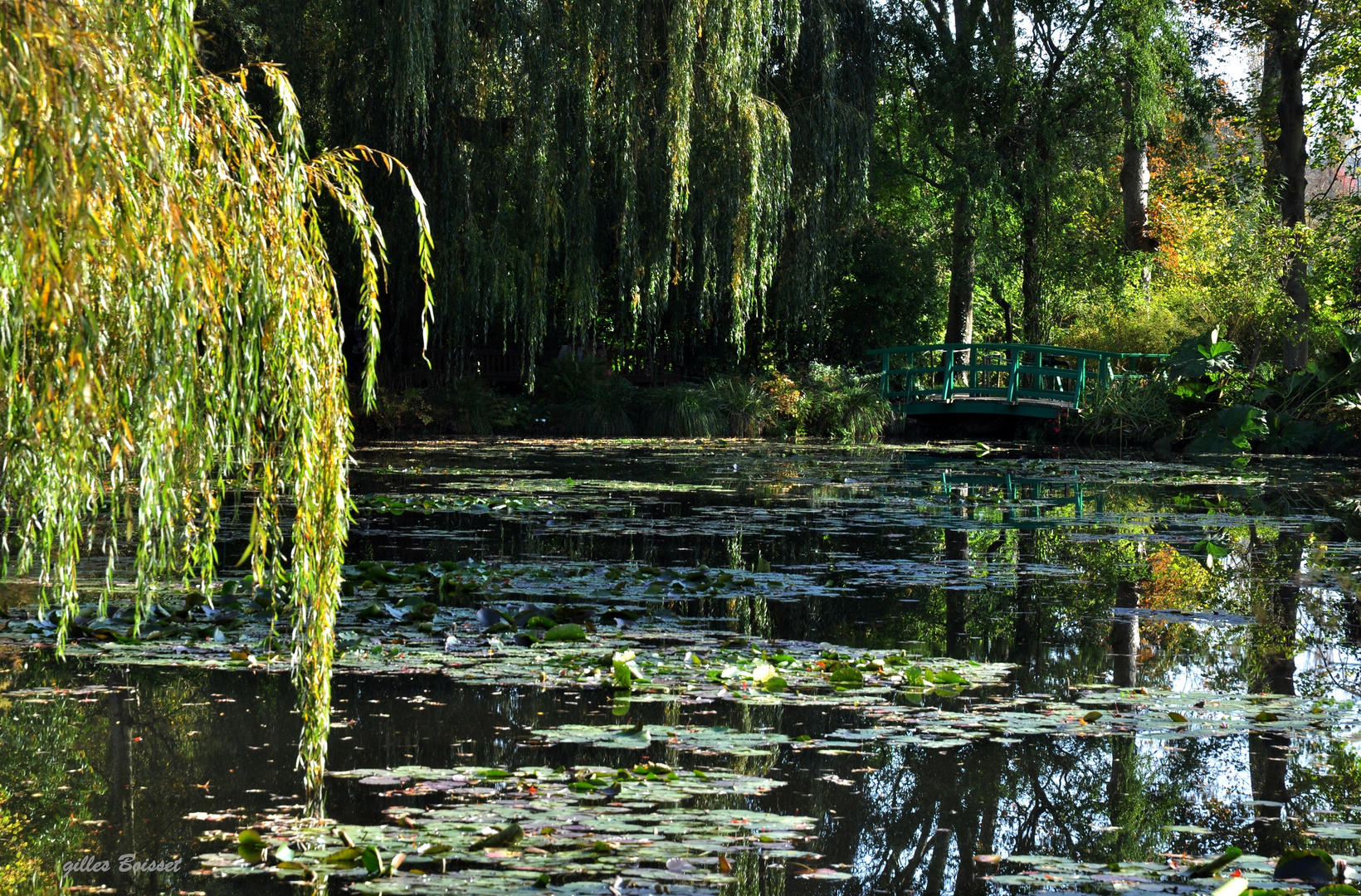 Prendre le dernier vert chez Monet