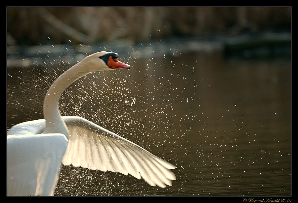 Prendre sa douche