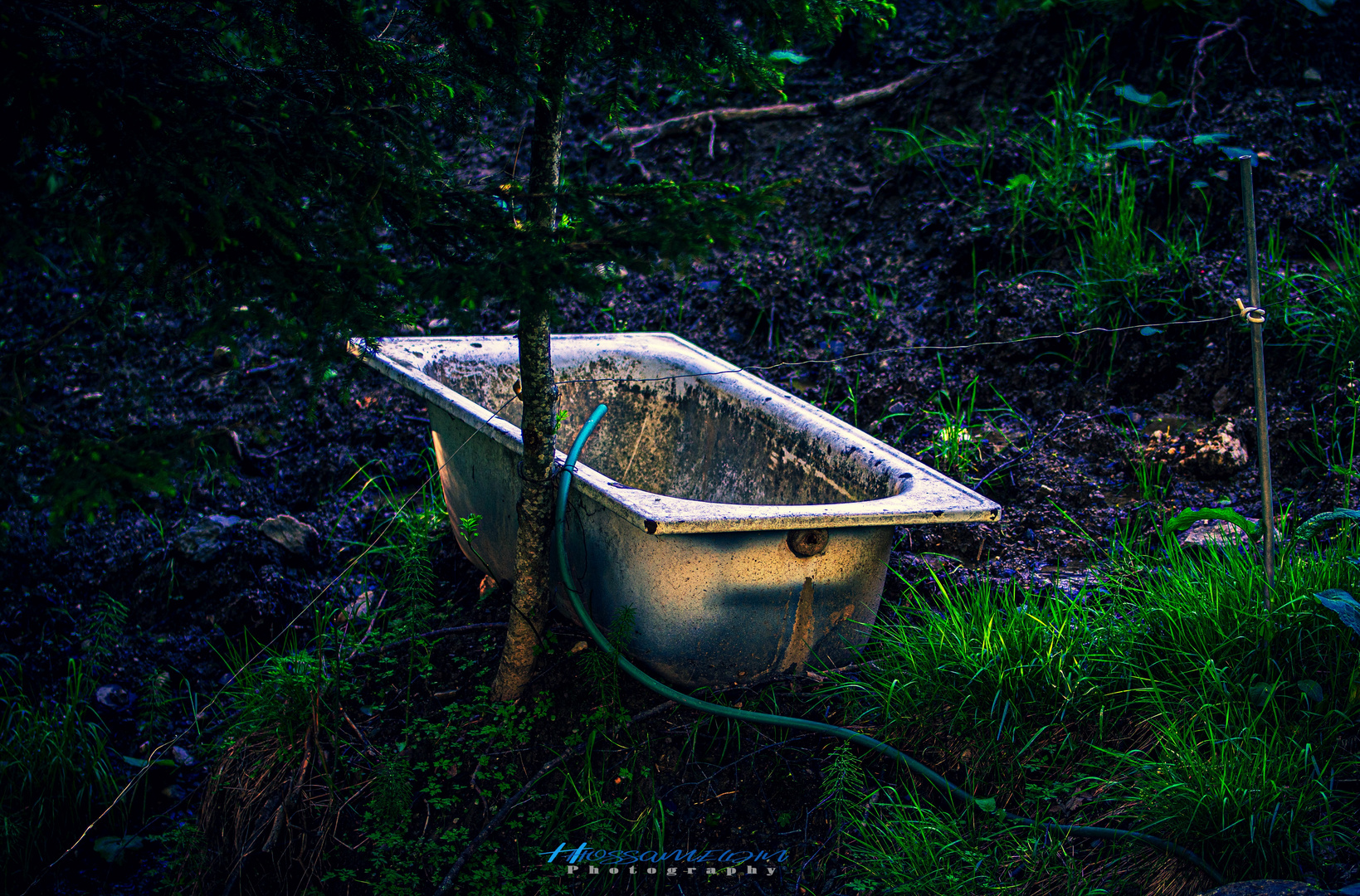 Prendre un bain de nature