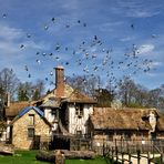 prends garde, bergère, tes pigeons s'envolent!