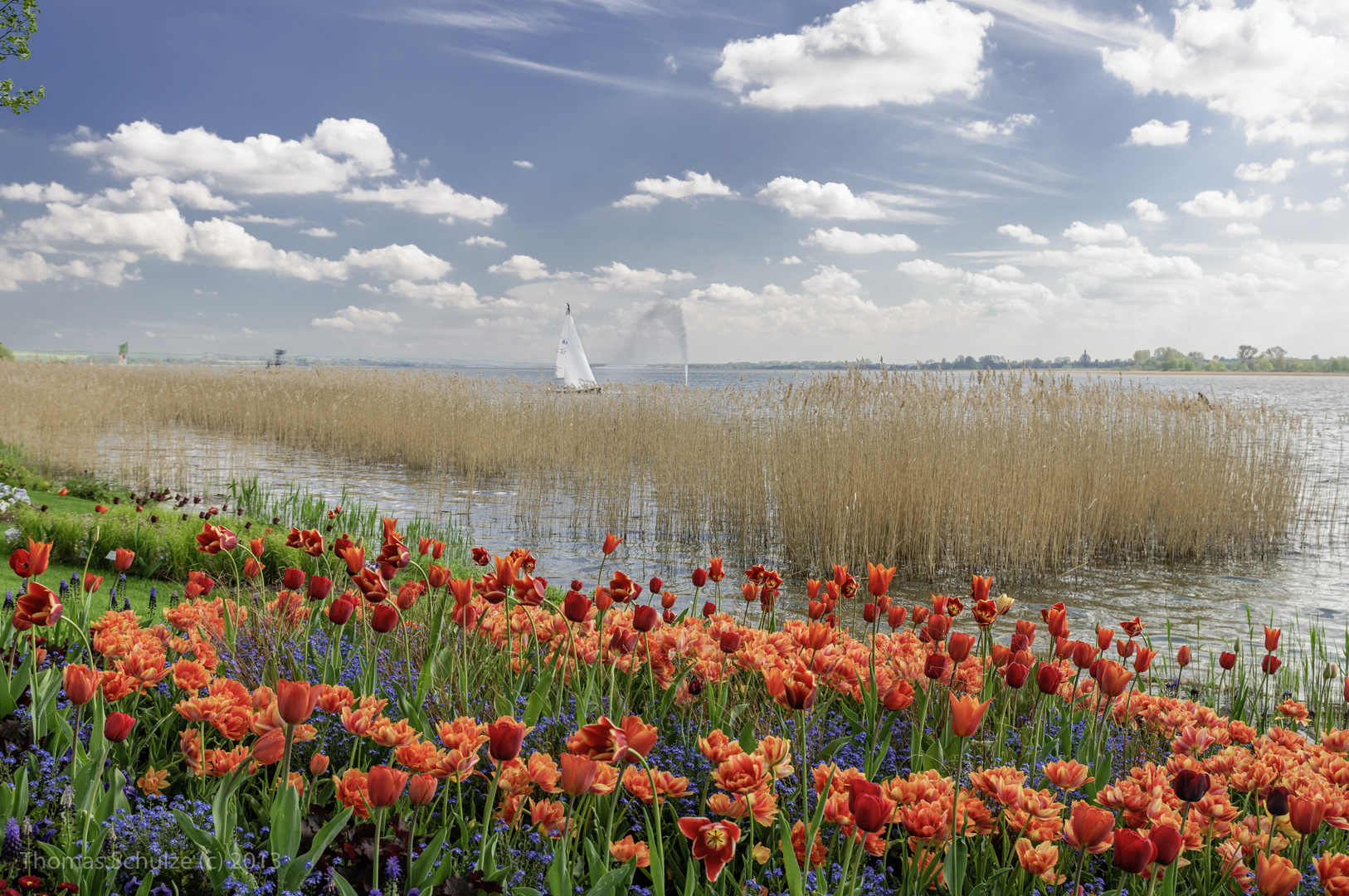 Prenzlau Landesgartenschau 2013