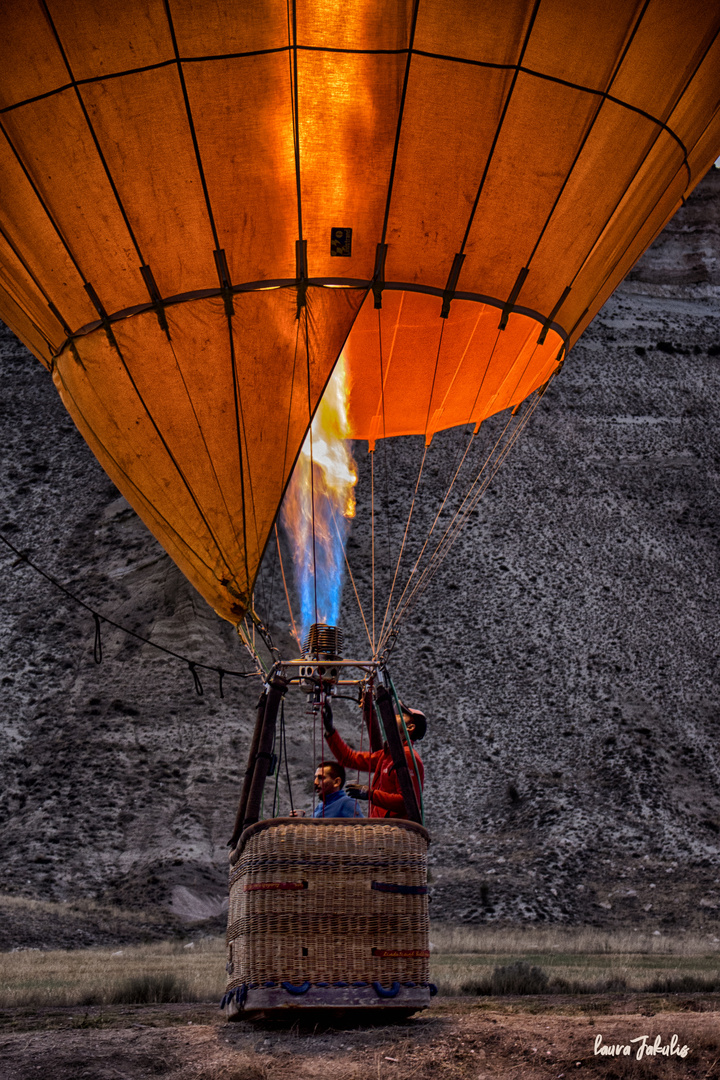 Preparando el vuelo....