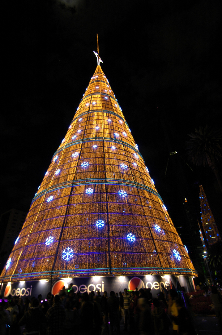 preparando la navidad