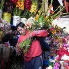 preparando ramos de flores para llevar a la virgen DEL CARMEN