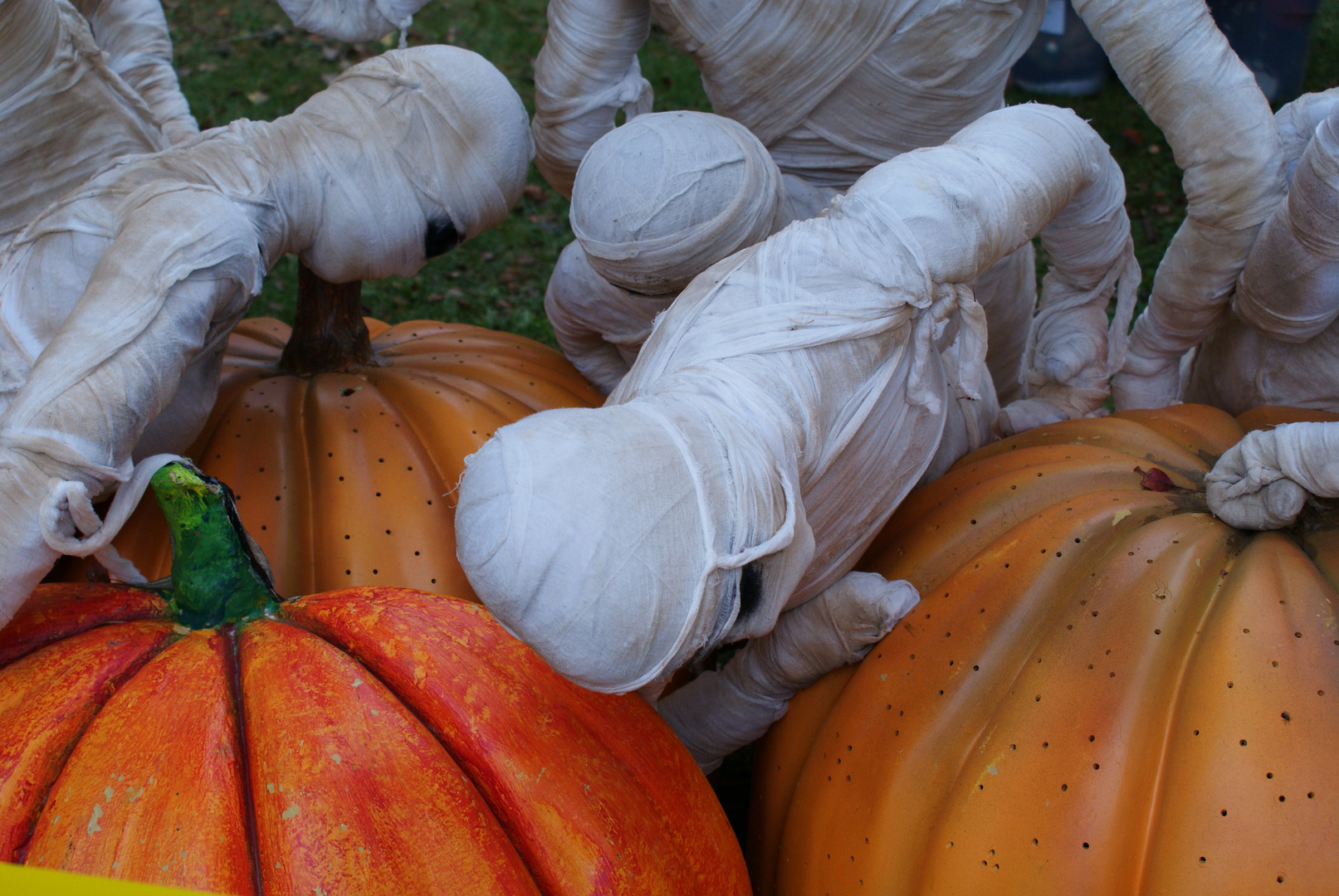 Préparatif d'halloween à Montréal