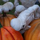 Préparatif d'halloween à Montréal