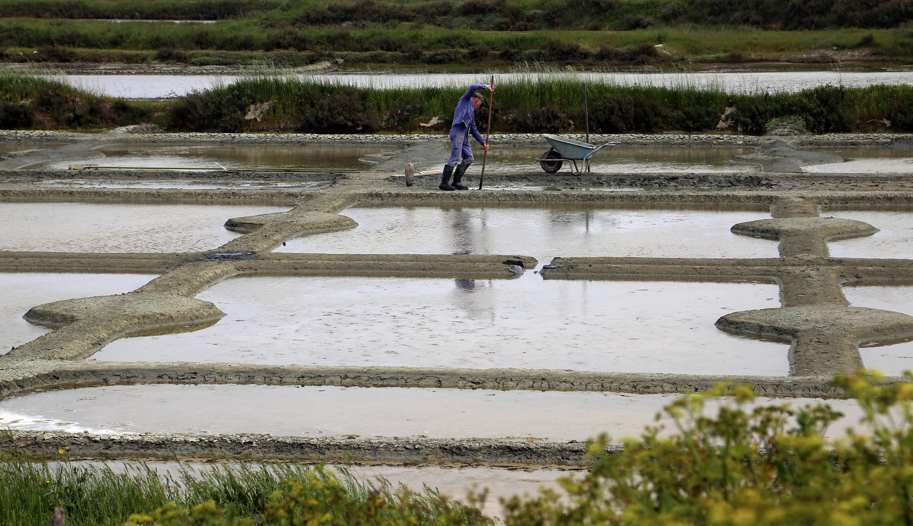 preparation des marais salants