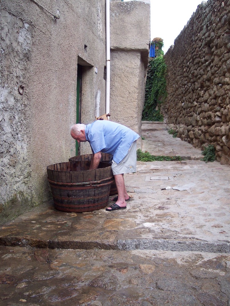 PREPARATIVI PER LA VENDEMMIA