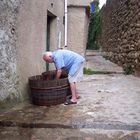 PREPARATIVI PER LA VENDEMMIA