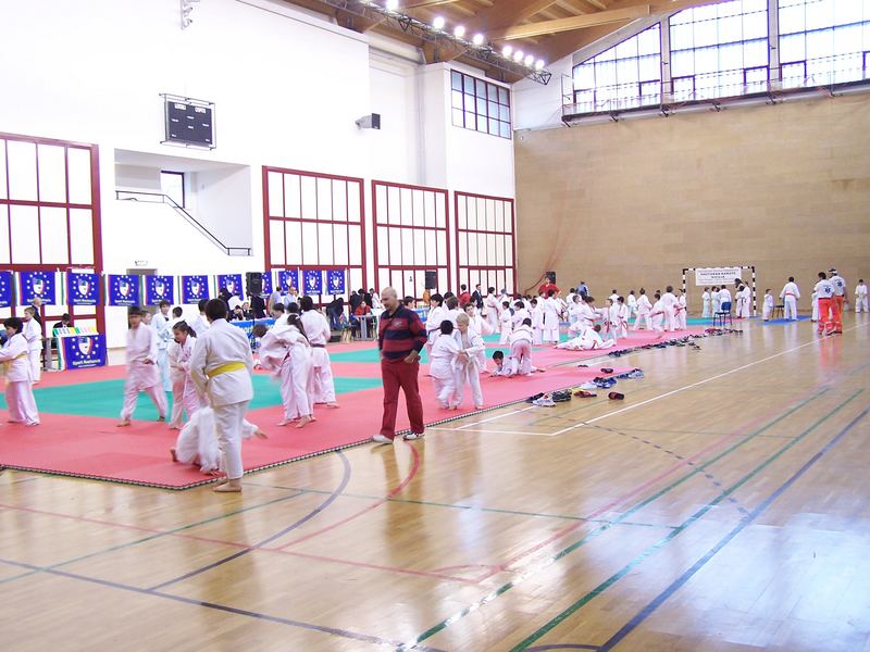 Preparazione alla gara di judo