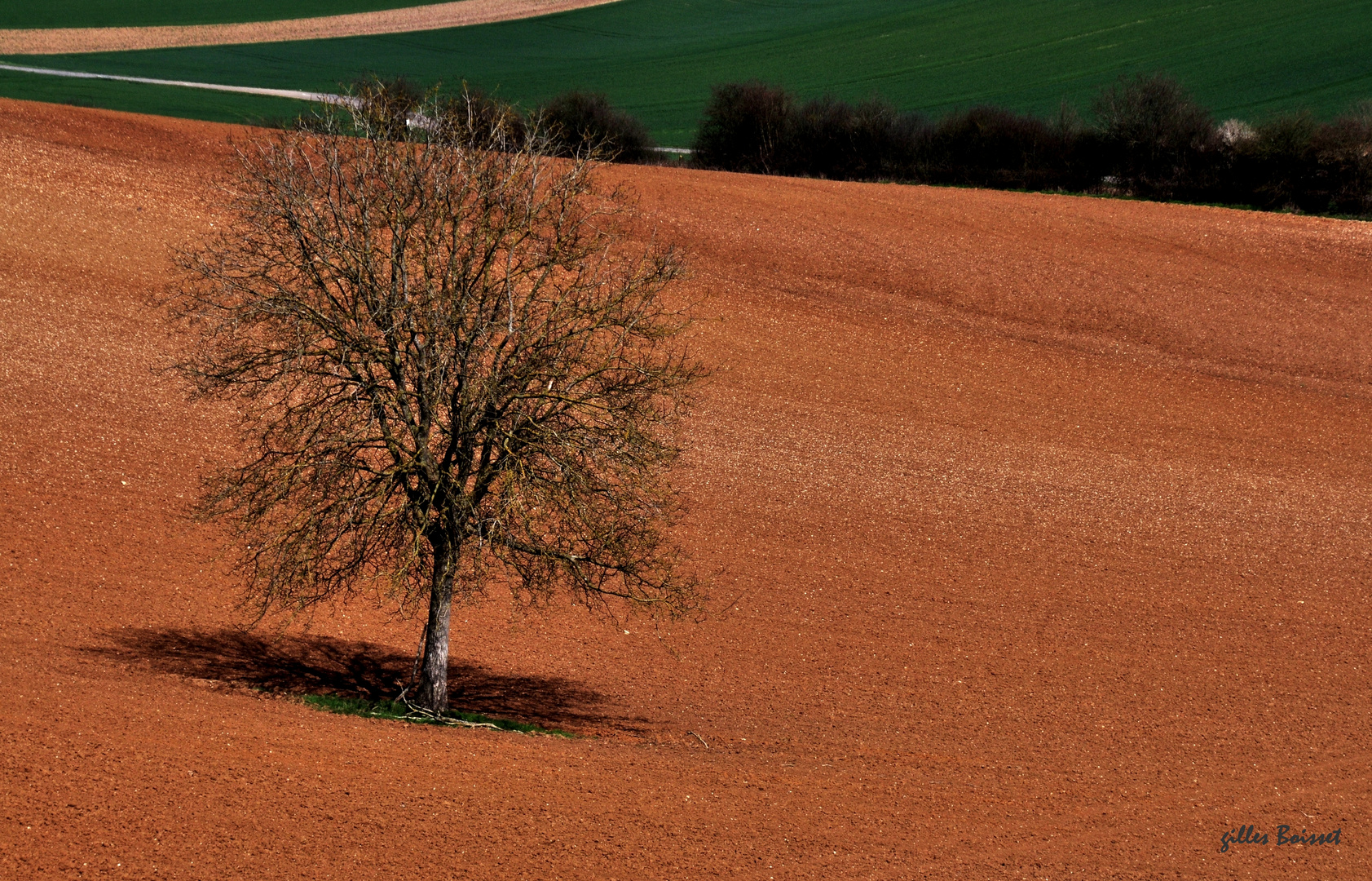 préparer le printemps