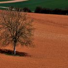 préparer le printemps